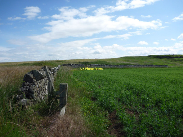 Photo 6"x4" East Lothian Landscape : Field Boundaries To The North Of Whitekirk Hill Whitekirk c2011