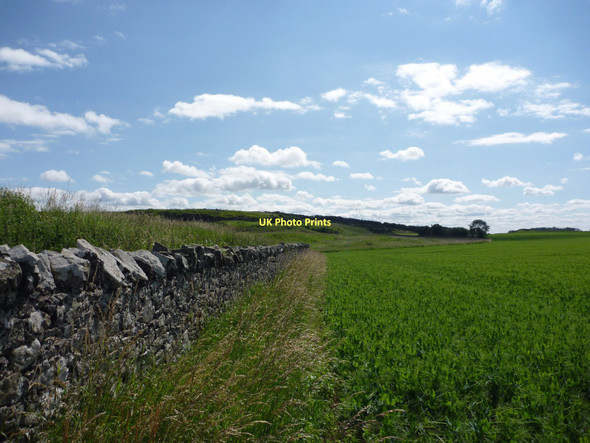 Photo 6"x4" East Lothian Landscape : The Northern Approach To Whitekirk Hill Whitekirk c2011