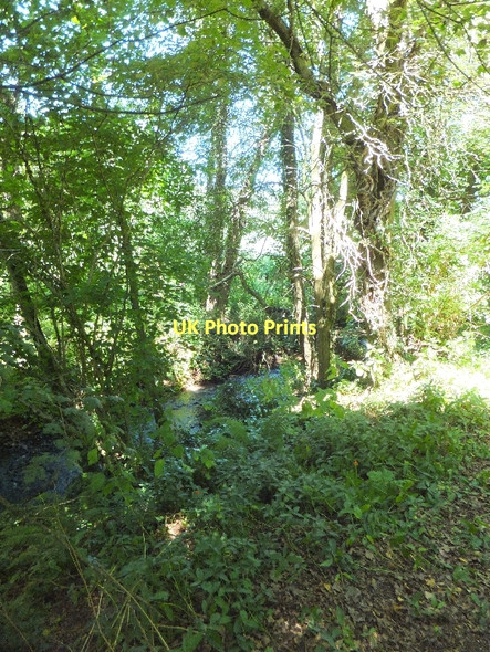Photo 6"x4" The Burn River south of Burnhayes Bickleigh\/SS9407 c2011