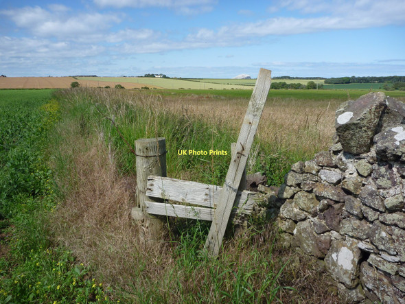 Photo 6"x4" East Lothian Landscape : A Change in Field Boundary Material Near Gleghornie Whitekirk c2011