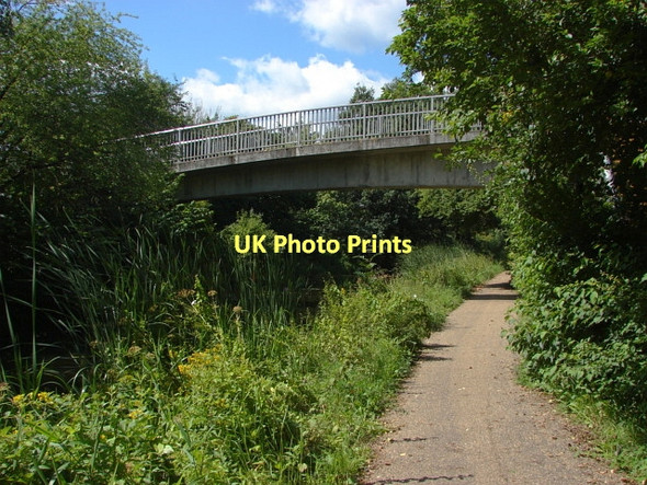Photo 6"x4" Basingstoke Canal Woking c2011