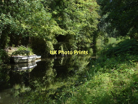 Photo 6"x4" Basingstoke Canal Woking c2011
