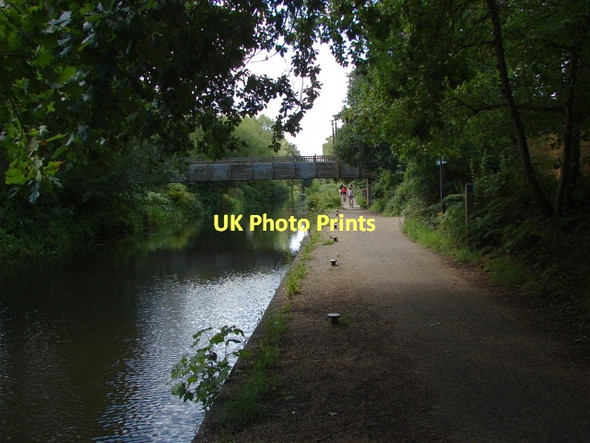 Photo 6"x4" Basingstoke Canal Woking c2011