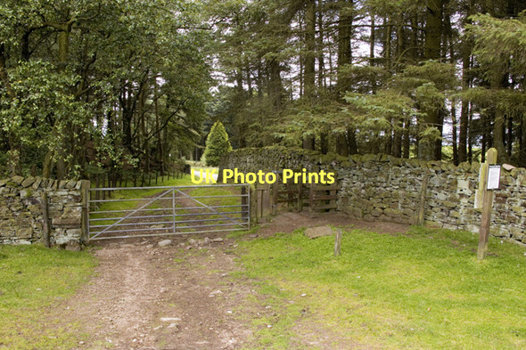 Photo 6"x4" Fellside access at Stang Yule Oakenclough\/SD5447 c2011
