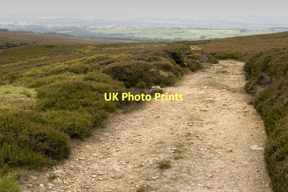 Photo 6"x4" Estate Track on Hazelhurst Fell Oakenclough\/SD5447 c2011