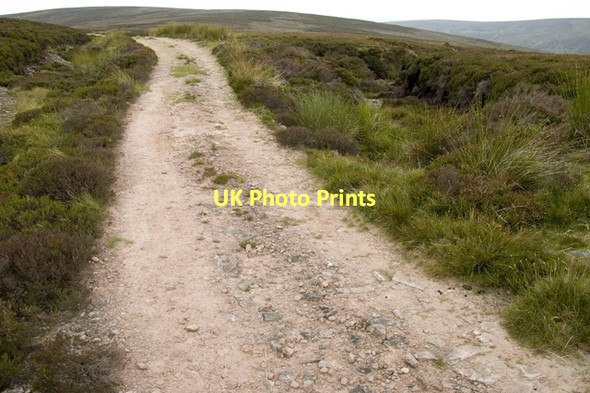 Photo 6"x4" Estate Road north of Winny Bank Bleasdale c2011