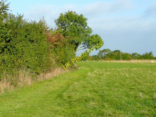 Photo 6"x4" Field edge and bridleway Fiddington\/SO9230 c2009