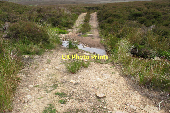 Photo 6"x4" Estate Track below Luddock's Fell Bleasdale c2011