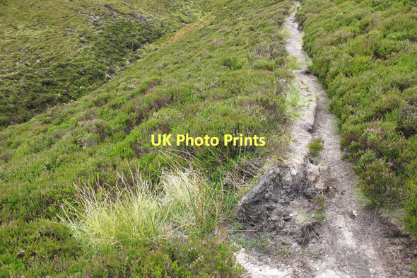 Photo 6"x4" Fiendsdale track Bleasdale c2011