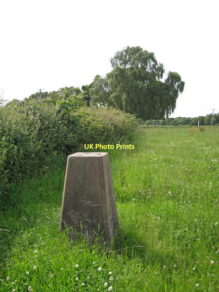 Photo 6"x4" Trig point in a field Wetheral Plain c2011