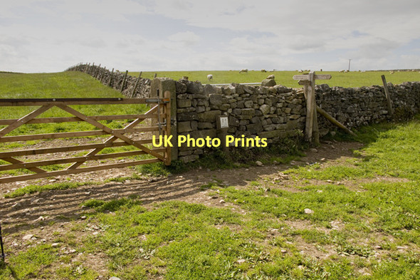 Photo 6"x4" Footpath to Friars Head Flasby c2011