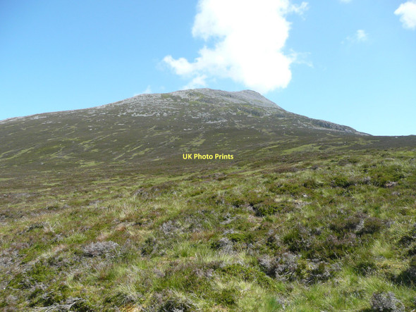 Photo 6"x4" Heather slopes west of Schiehallion Carn Dearg\/NN7054 c2011