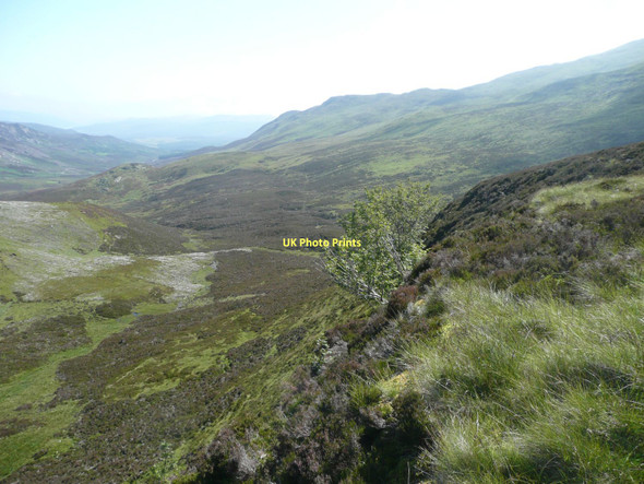 Photo 6"x4" The northern slopes of Schiehallion Dunalastair c2011