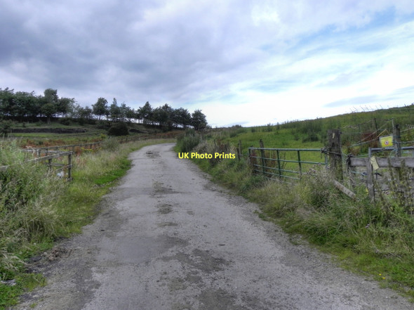 Photo 6"x4" Track Towards Whitfield Farm Shaw\/SD9308 c2011