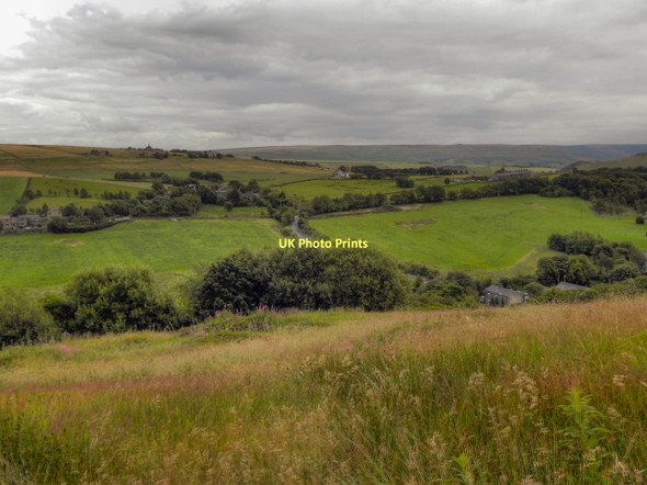 Photo 6"x4" View Towards Horest Lane Old Tame c2011