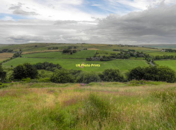 Photo 6"x4" View Towards Yorkshire Old Tame c2011