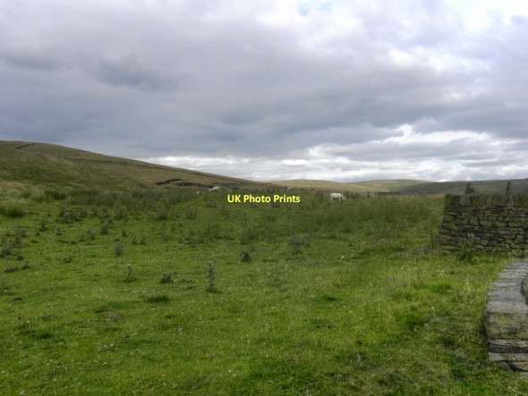 Photo 6"x4" Turf Hill Rough Bank\/SD9412 c2011