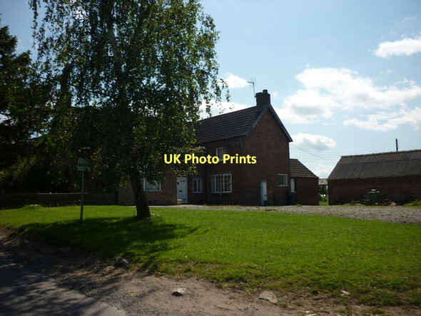 Photo 6"x4" Wathstones Farm near Newby Wiske Newby Wiske c2011