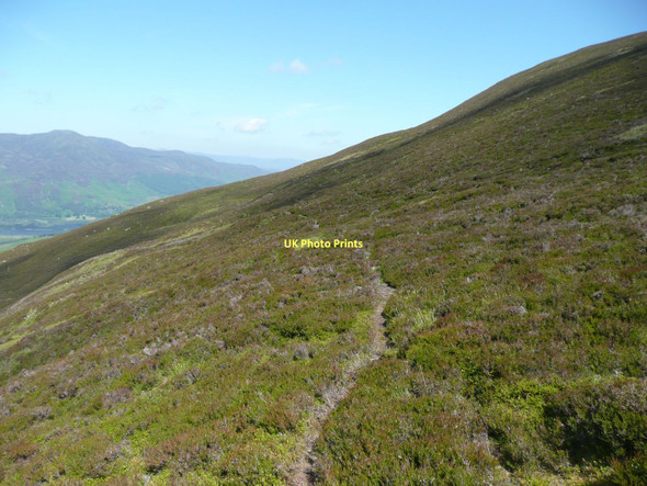 Photo 6"x4" Deer tracks  Carn Dearg\/NN7054 c2011