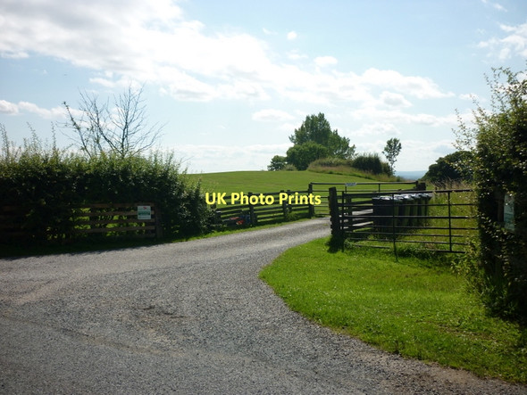 Photo 6"x4" The way to Primrose Hill (farm), from Knowle Lane Kirby Knowle c2011