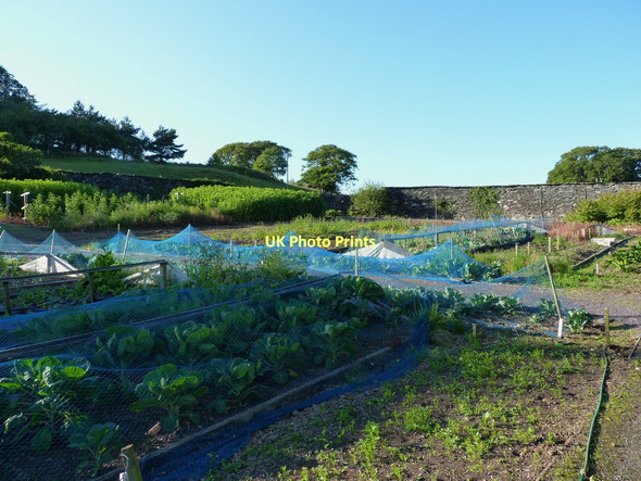 Photo 6"x4" Kitchen gardens in the Maes-y-Neuadd hotel grounds Eisingrug c2011