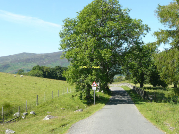 Photo 6"x4" The road  to Kinloch Rannoch Dunalastair c2011