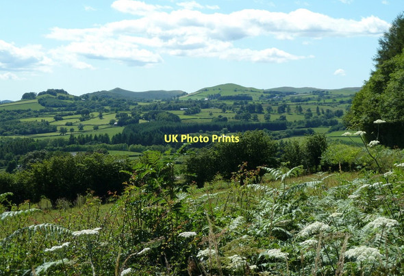 Photo 6"x4" Mid Wales landscape on a summer afternoon Disserth c2011