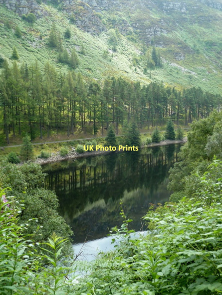 Photo 6"x4" Near the head of Garreg-ddu reservoir Elan Village c2011
