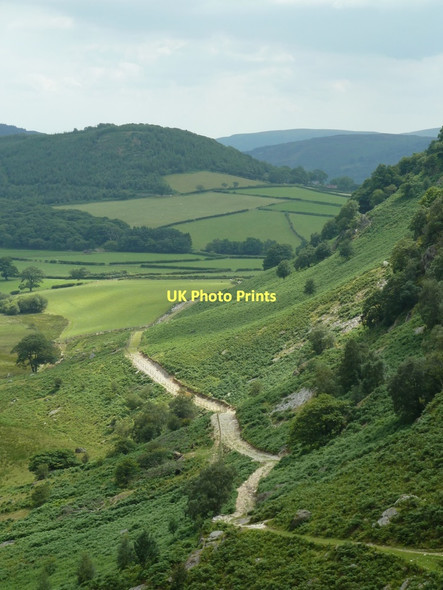 Photo 6"x4" Footpath, Nant Gwynllyn Nantserth c2011