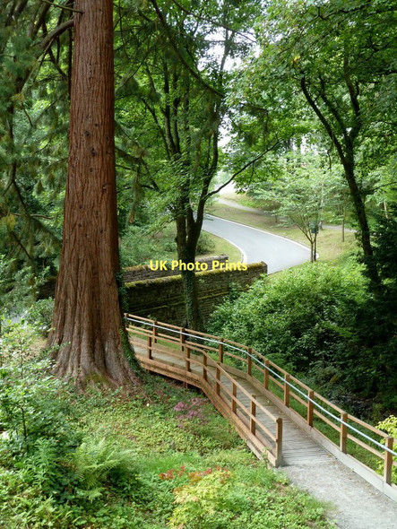 Photo 6"x4" Rock Park, Llandrindod Wells Llandrindod Wells\/Llandrindod c2011