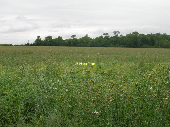 Photo 6"x4" Farmland off Bridge Lane Horkstow c2011