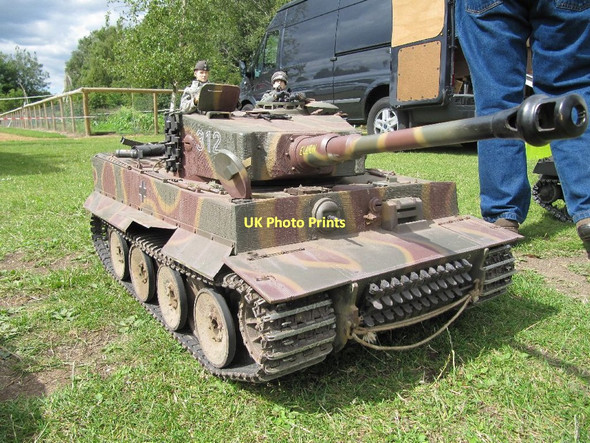 Photo 6"x4" Tiger at the school Cholsey c2011