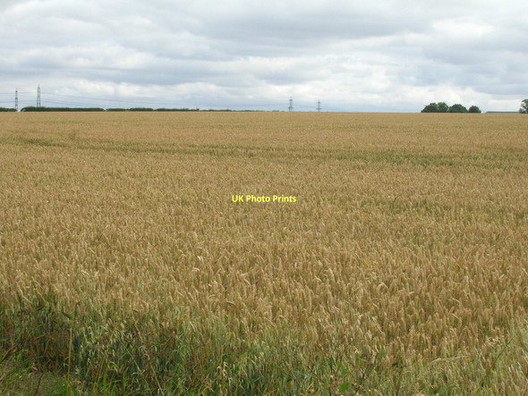 Photo 6"x4" Farmland, Horkstow Wolds Horkstow c2011