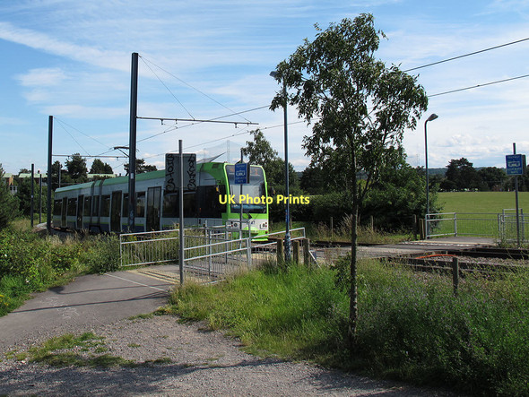 Photo 6"x4" Tram crossing in South Norwood Country Park Beckenham c2011