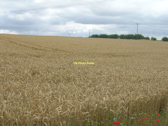 Photo 6"x4" Farmland near Grange Farm Bonby c2011