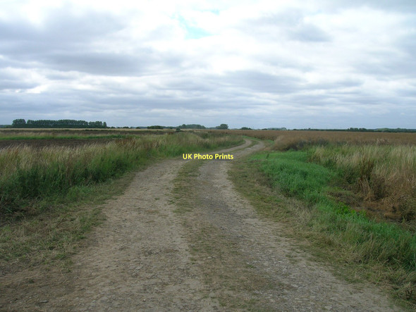 Photo 6"x4" Farm track off Carr Lane Bonby c2011