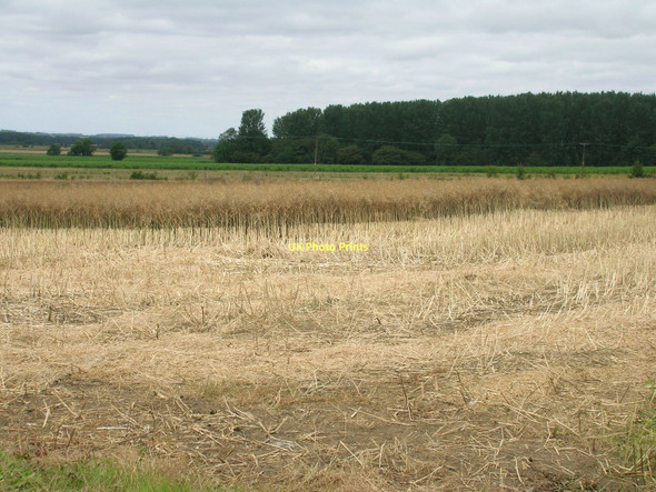 Photo 6"x4" Farmland off Bonby Road Bonby c2011