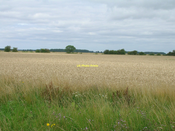Photo 6"x4" Farmland off Carr Lane Worlaby\/TA0113 c2011