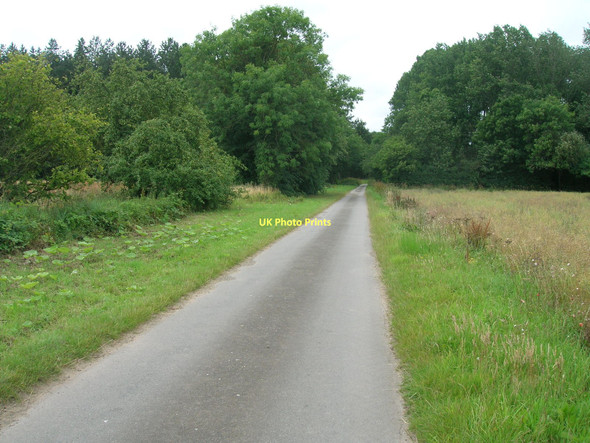 Photo 6"x4" Track to Elsham Carrs Elsham c2011