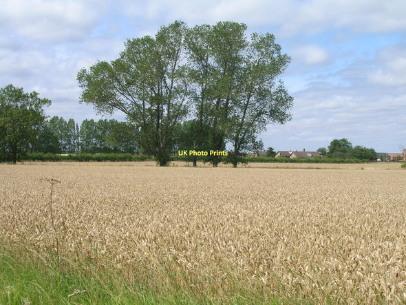 Photo 6"x4" Farmland near Brigg Brigg c2011