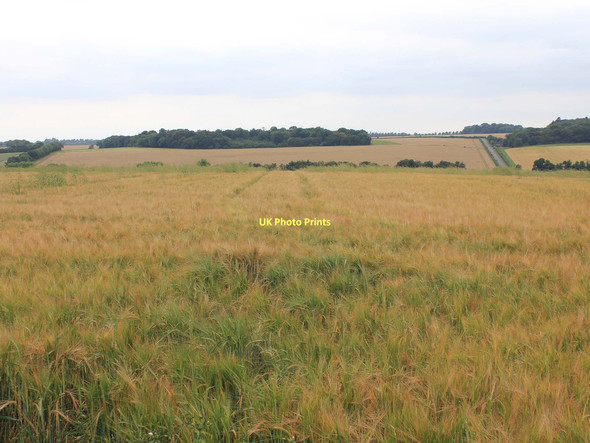 Photo 6"x4" View SW from footpath to East Hyde East Hyde\/TL1217 c2011