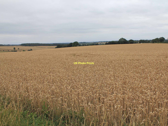 Photo 6"x4" Fields near Russell's Farm Ansells End c2011
