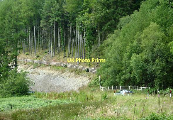 Photo 6"x4" Forestry in Cwm Nant Lledwenau, Ceredigion Pont-rhyd-y-groes c2011