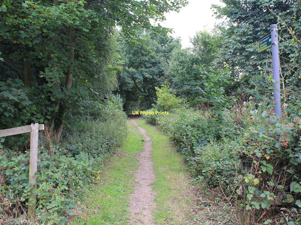 Photo 6"x4" Footpath to Common Lane from Bower Heath Harpenden c2011