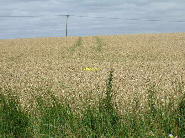 Photo 6"x4" Farmland off the A1084 Brigg c2011