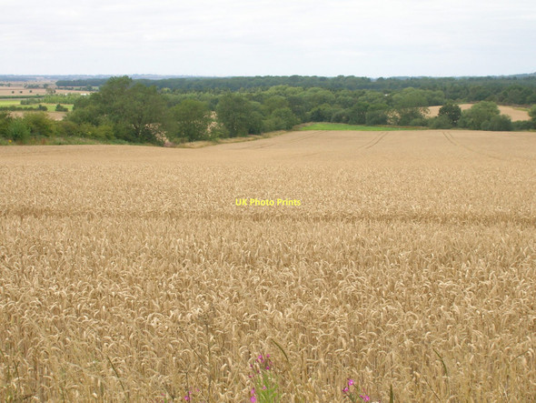 Photo 6"x4" Farmland near Wrawby Brigg c2011