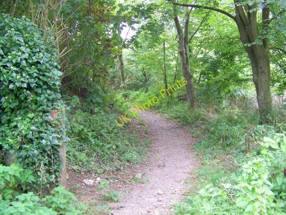 Photo 6"x4" Footpath, Pilton Pilton\/ST5940 c2009