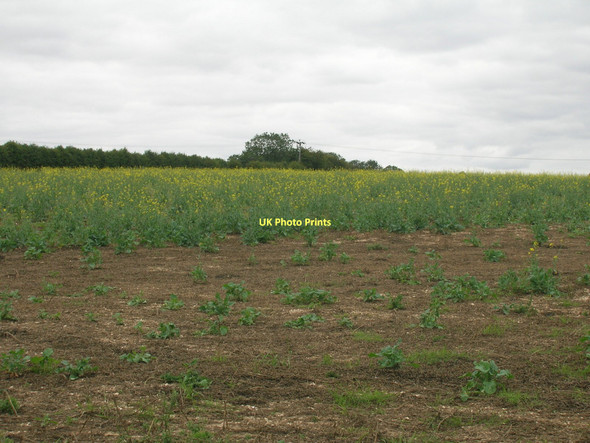 Photo 6"x4" Farmland off the B1218 Bonby c2011