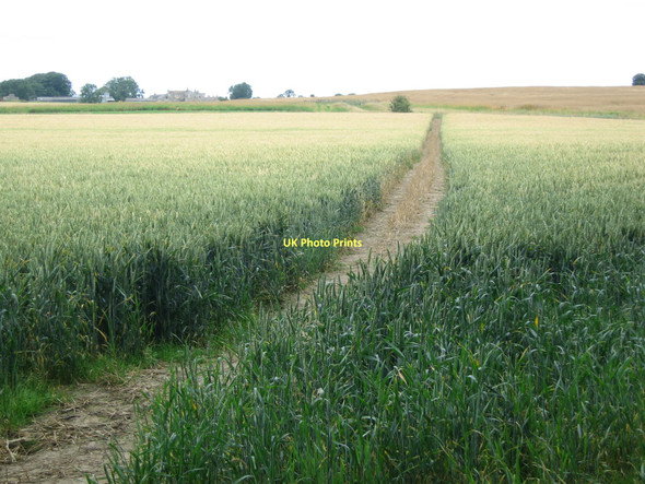 Photo 6"x4" Field Track Ingerthorpe c2011