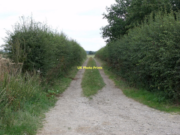 Photo 6"x4" Track near Fleets Cottages Sturton by Stow c2011